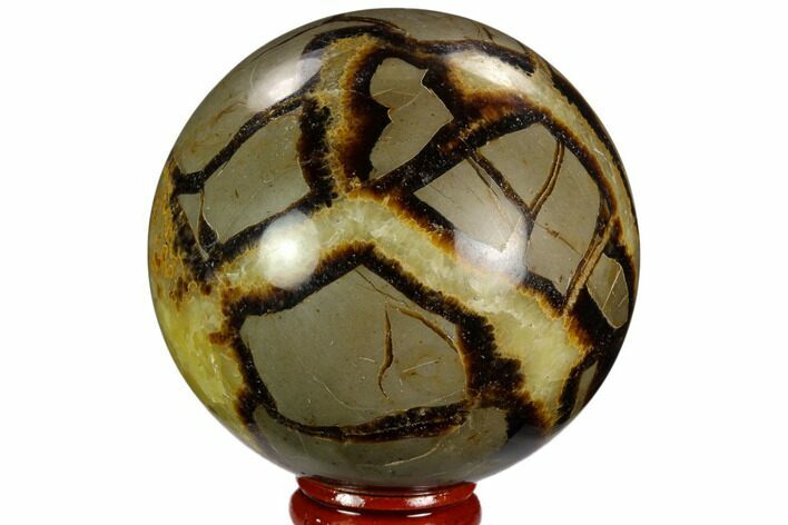 Polished Septarian Sphere - Madagascar #122920